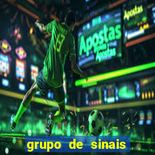 grupo de sinais fortune rabbit